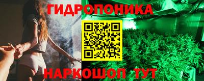 ПСИЛОЦИБИНОВЫЕ ГРИБЫ Заводоуковск
