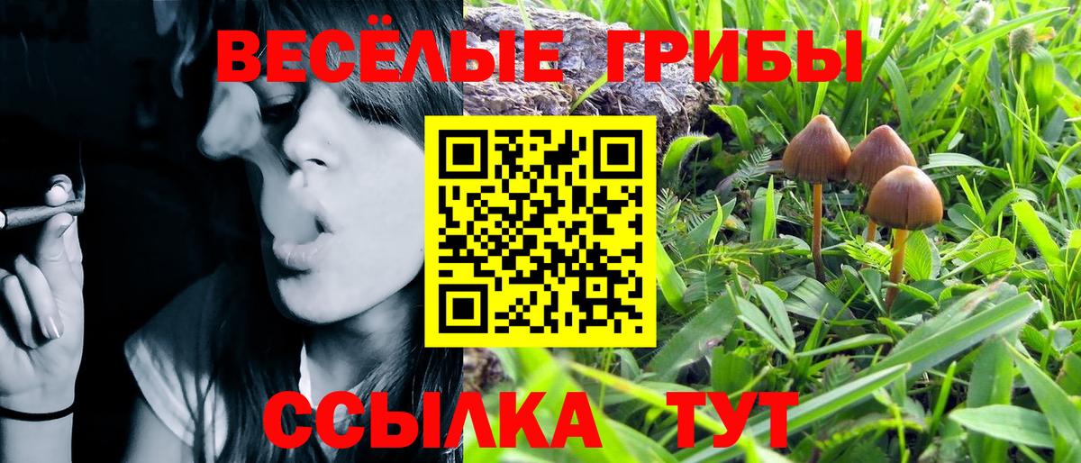 Галлюциногенные грибы мицелий Кумертау