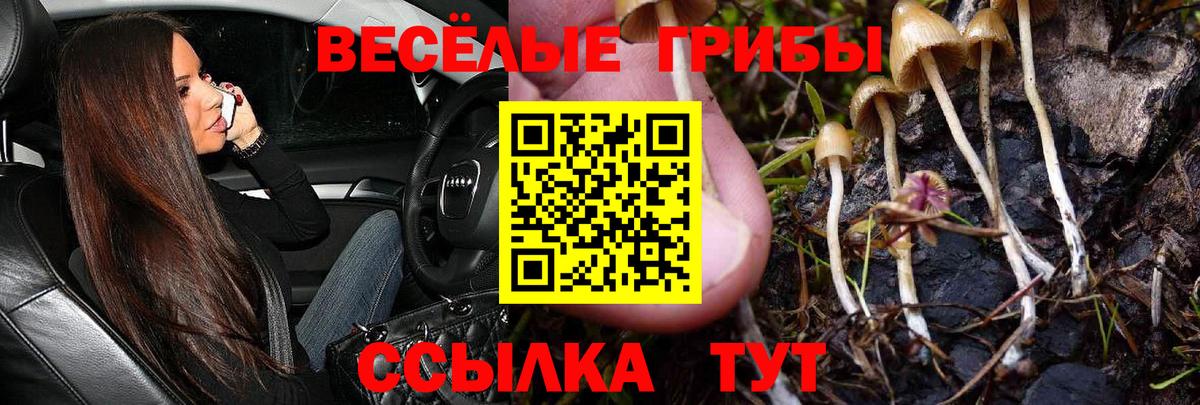 Кумертау  Псилоцибиновые грибы GOLDEN TEACHER  Вход с VPN 